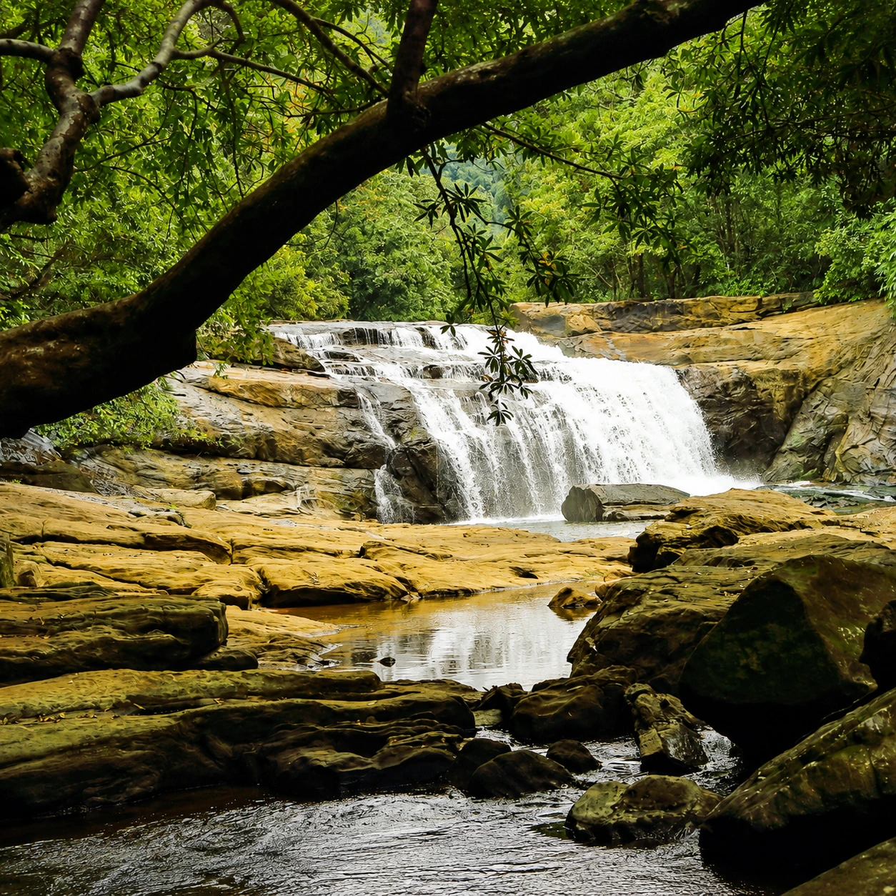 Thommankuthu Waterfalls – Thodupuzha